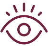 our vision icon